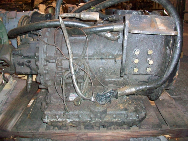 29505462