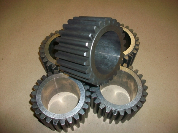 29506124